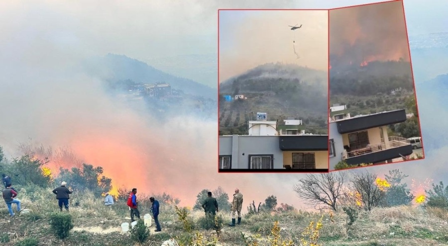 Hatay'da orman yangını! Alevler evlere de yayıldı