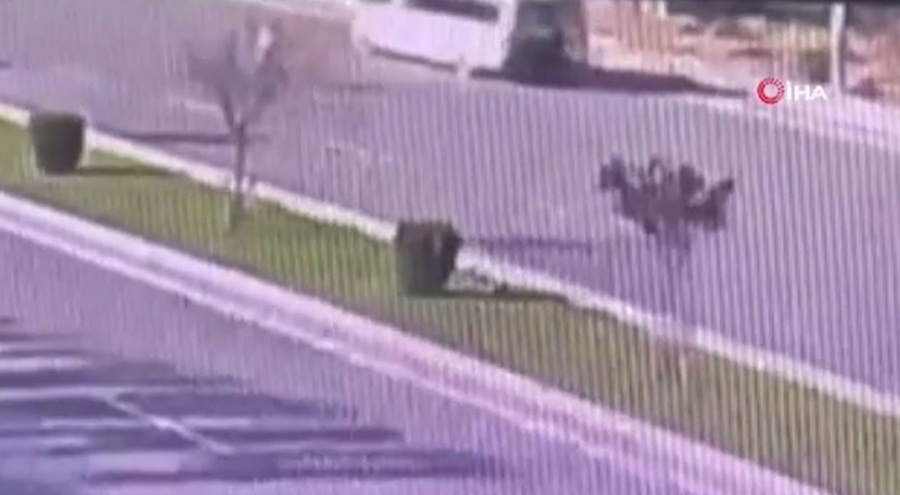 İki yolcusunu ezen şoför tutuklandı!