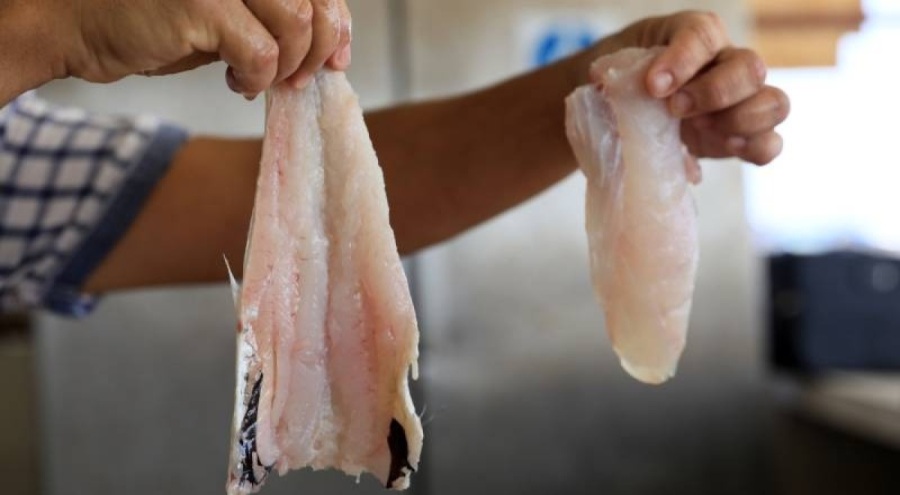 Balıkçılardan "yarı fiyatına mezgit" uyarısı