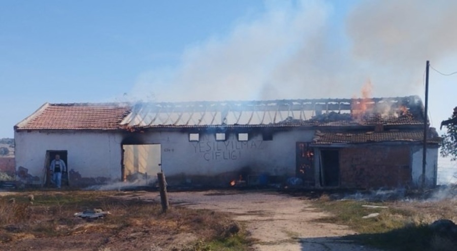 Anız yangını depoya sıçradı! 15 ton buğday ve 500 saman balyası kül oldu