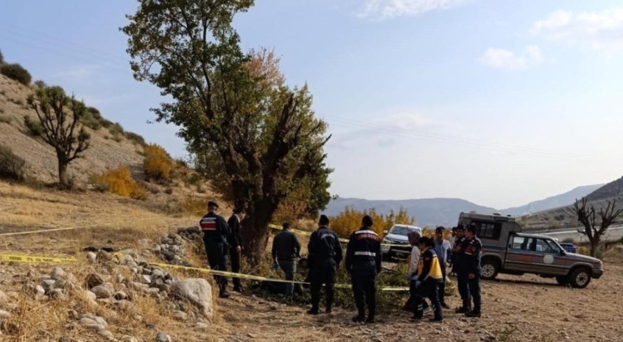 Budamak için ağaca çıktı canından oldu