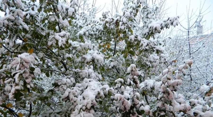 Ardahan güne kar yağışıyla uyandı