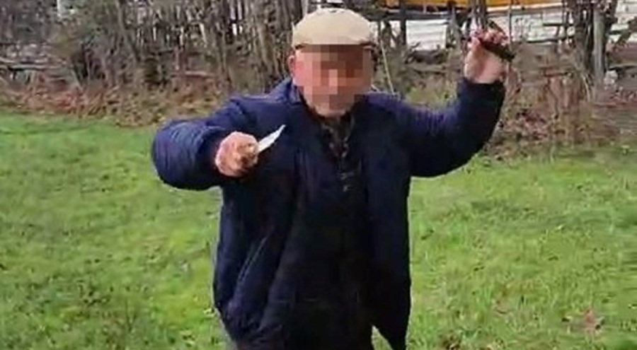 Bu nasıl canilik! Köpeklerin yuvasını ateşe verdi