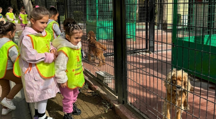 Osmangazi'de küçük hayvanseverlerden can dostlarına ziyaret