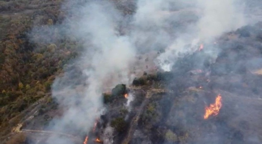 Çanakkale'de orman yangını