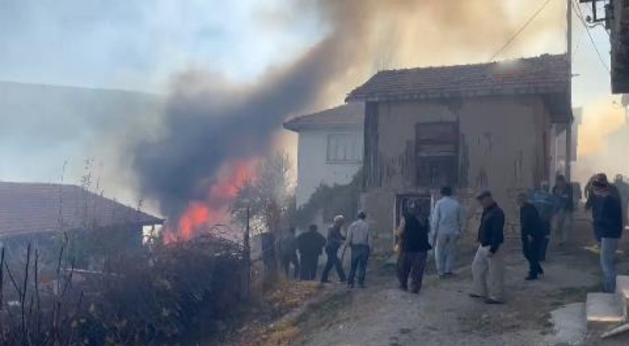 Köyde çöplükte meydana gelen yangın evlere sıçradı