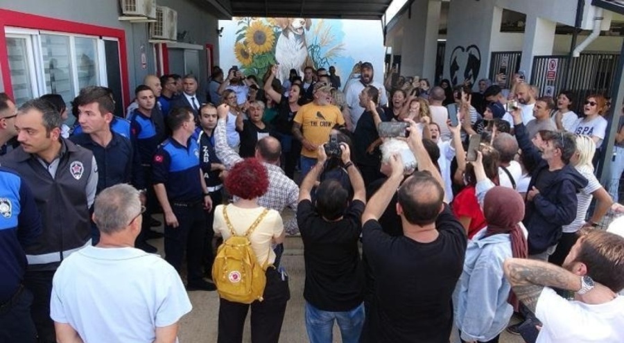 Hayvan bakım merkezinde 45 hayvanın ölümüyle ilgili otopsi raporu açıklandı