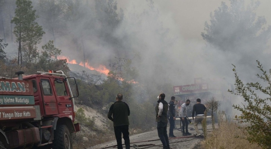 Balıkesir'deki yangın söndürüldü, Bursa'da hala devam ediyor!