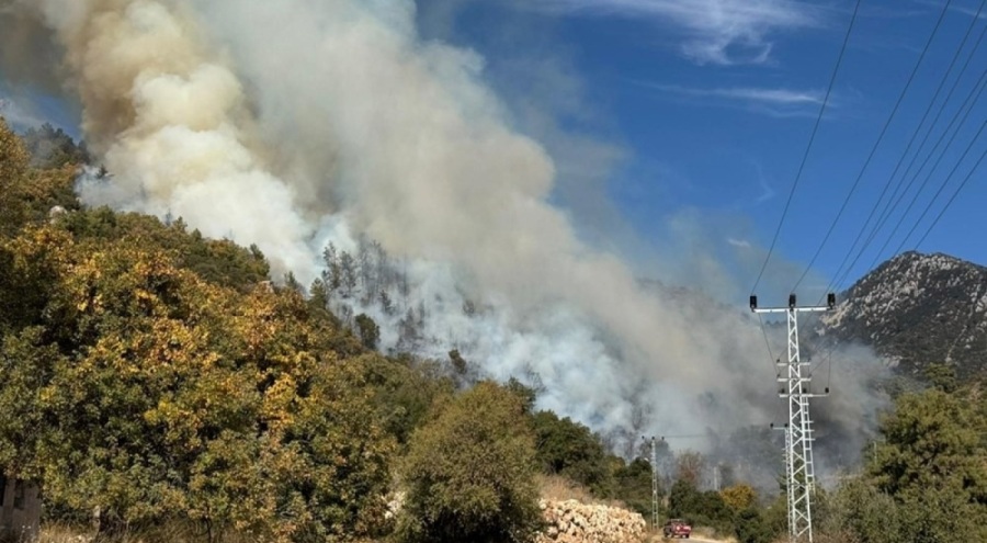 Antalya'da orman yangını!