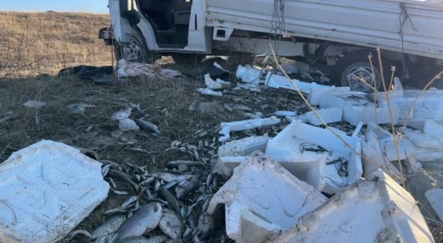 Otomobil balık yüklü kamyonetle çarpıştı: 5 kişi yaralandı