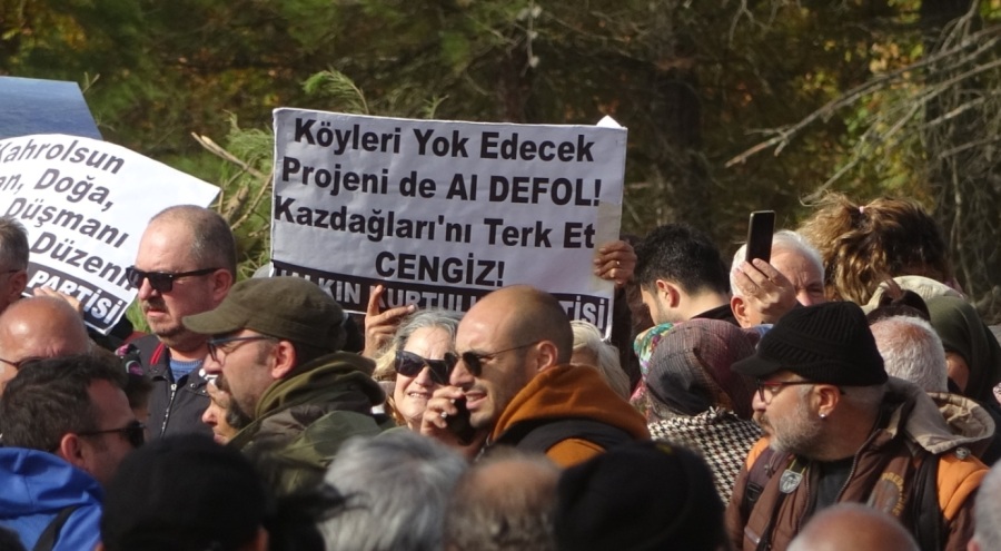 Kaz Dağları'ndaki 1 milyon ağaç kesimine çevrecilerden tepki