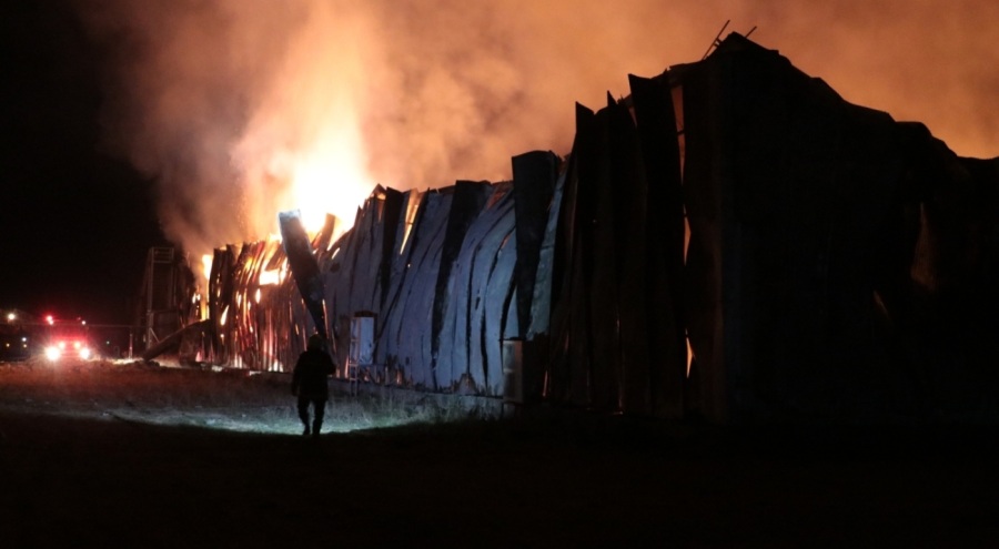 Mantar üretim tesisinde yangın