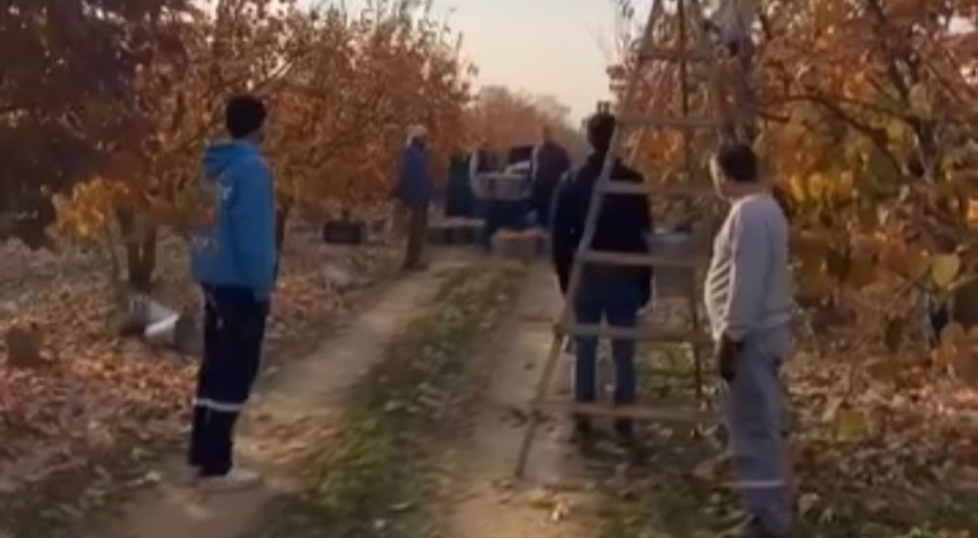 Bursa'da mevsimlik işçiler Ulu Önder için tarlada saygı duruşunda bulundu