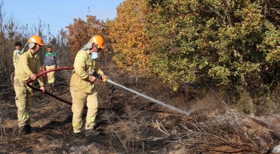 Kırklareli'ndeki orman yangını söndürüldü