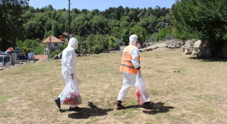 Yeni salgın yayılıyor!