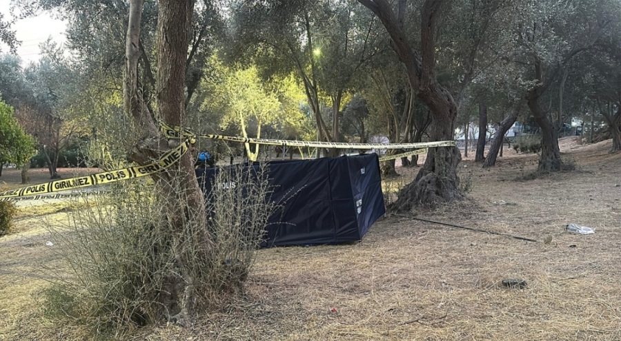 Zeytin toplamak için çıktığı ağaç öldürdü!