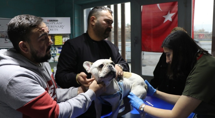 Köpeği aydınlatma direğine vuran zanlı yakalandı