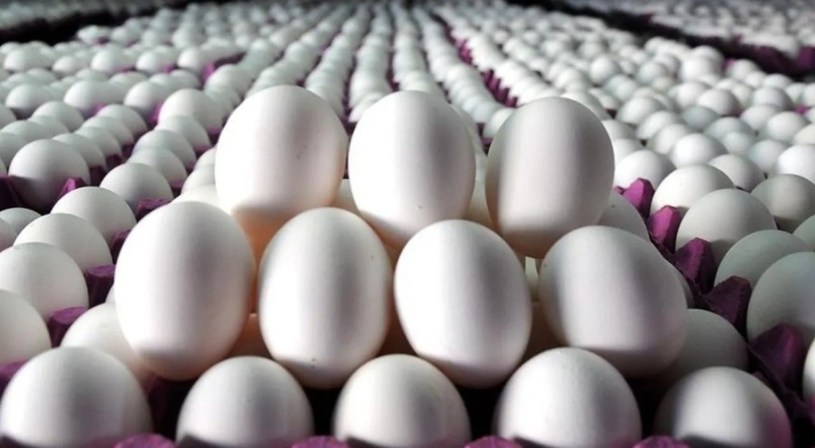 Yumurtaya yeni zam geldi! Koli fiyatı cep yakıyor