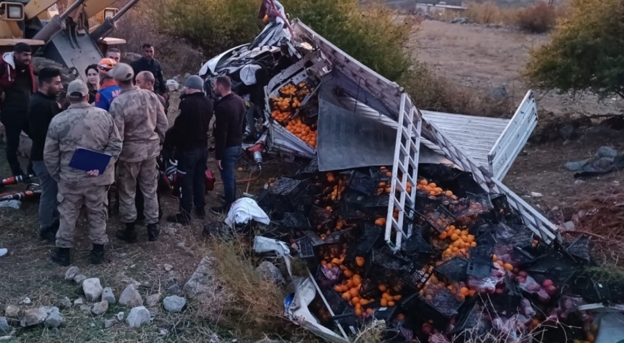 Kamyonet şarampole yuvarlandı: Baba öldü, oğlu yaralı