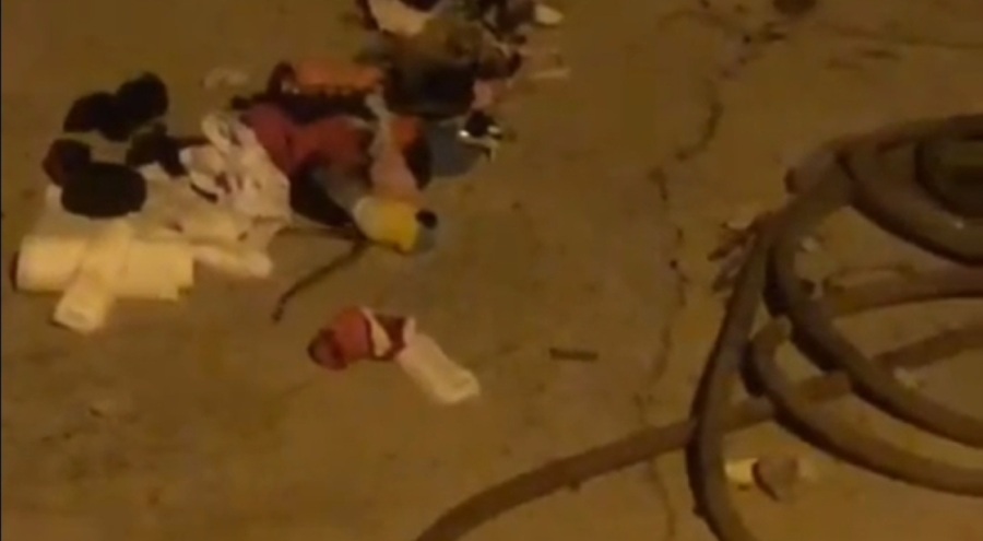 Konteyner evde çekmeceden çıkan yılan korkuttu