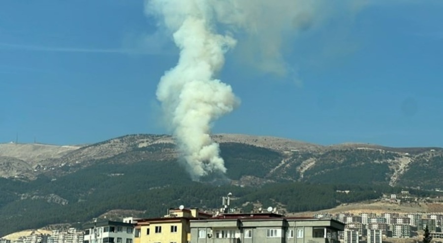 Kahramanmaraş'ta orman yangını