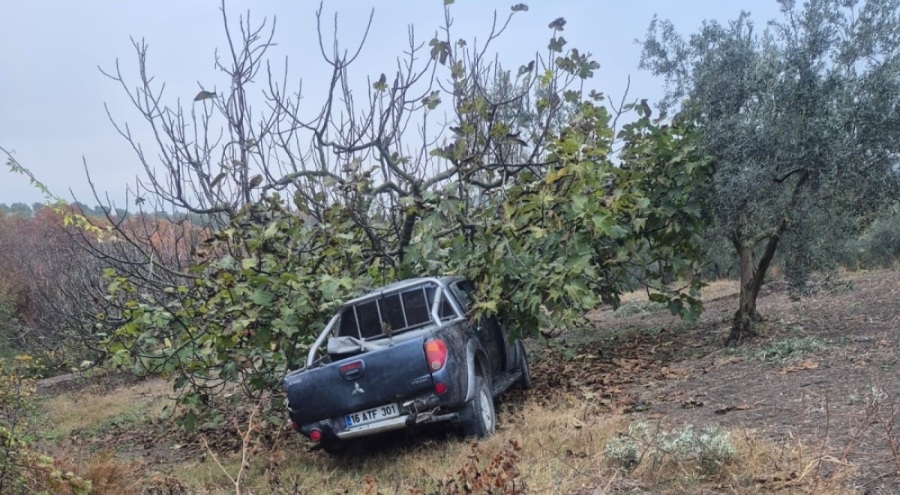 Bursa'da işçileri taşıyan kamyonet ağaca çarptı!
