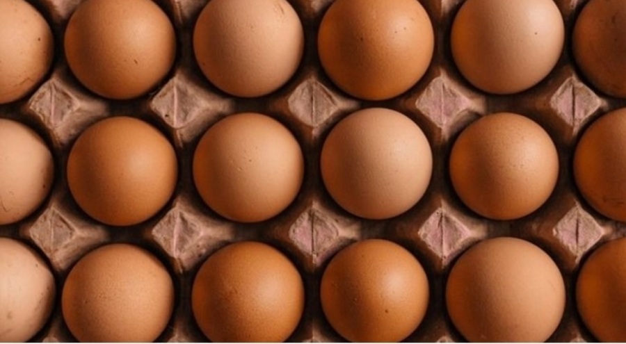 1 yumurta 8 TL olmuştu! Yumurtada fiyat artışının sebebi ne?