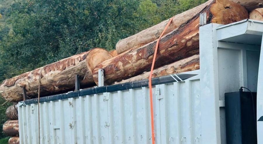 Ormanda kaçak ağaç kesiminde 4 tutuklama