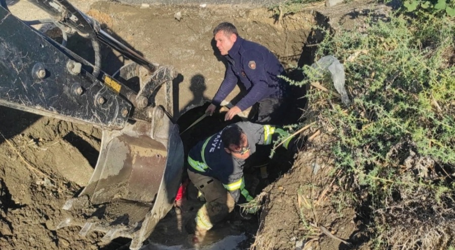 Su tahliye borusuna sıkışan yavru köpekler kurtarıldı