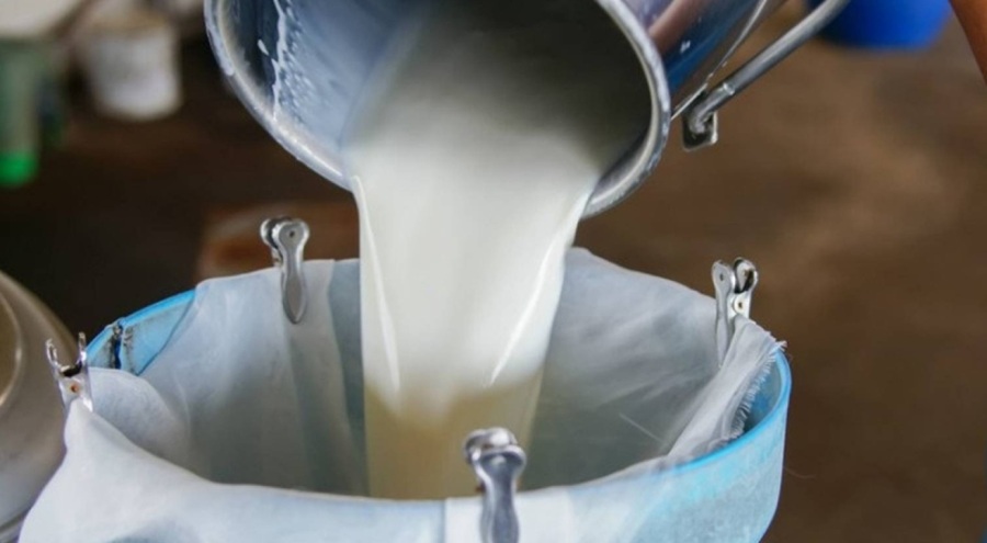 TÜSEDAD çiğ süt için tavsiye fiyatını açıkladı