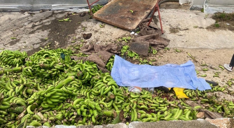 Muz serasındaki iş kazasında 2 kişi öldü, 2 kişi yaralandı