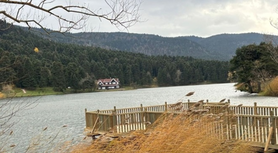 Bolu'da kuvvetli rüzgar etkili oluyor