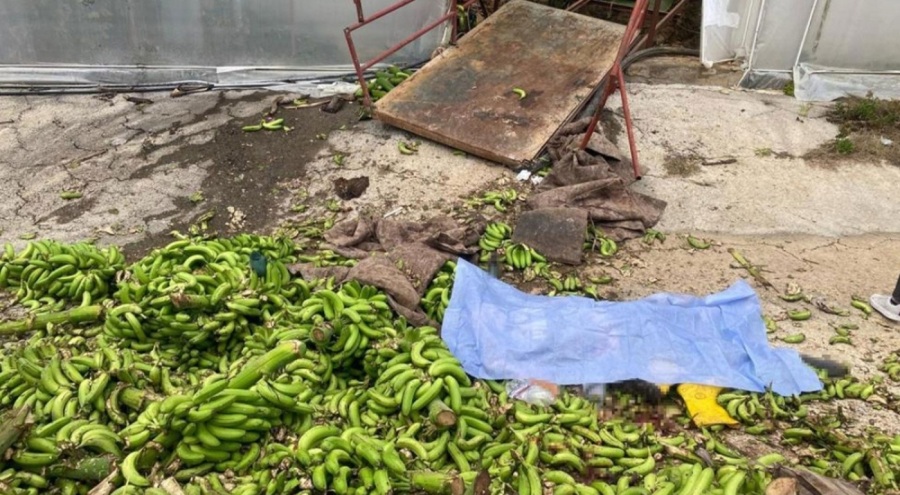 2 kişinin hayatını kaybettiği muz serası kazasında çarpıcı gelişme!