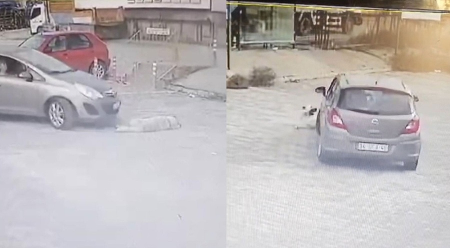 Otomobille köpeğin üzerinden geçip gitti