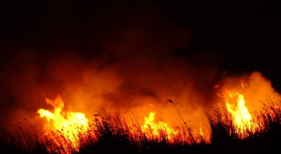 Kayseri'de Sultan Sazlığı Milli Parkı'ndaki yangın söndürüldü