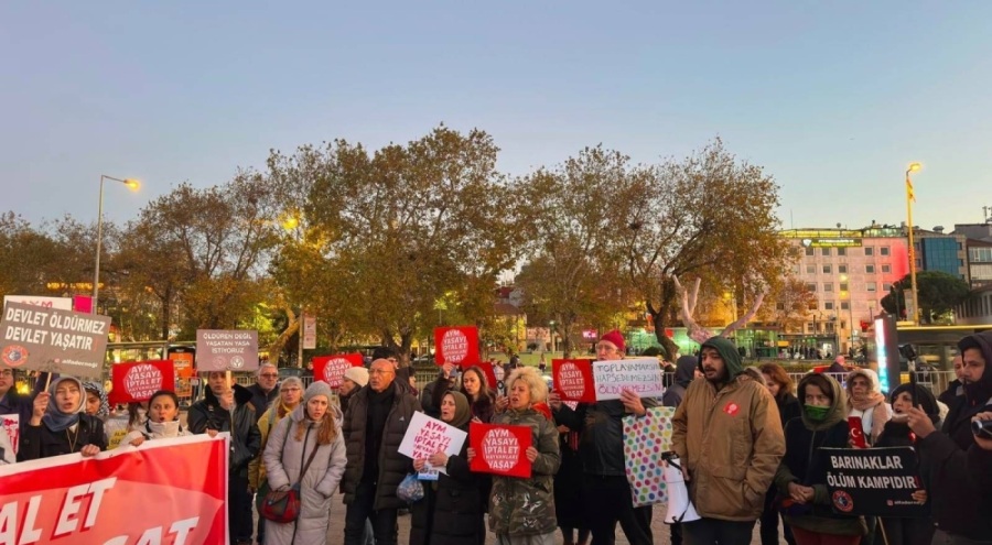 Hayvan hakları savunucularından ortak çağrı: Katliam yasasını iptal et, hayvanları yaşat