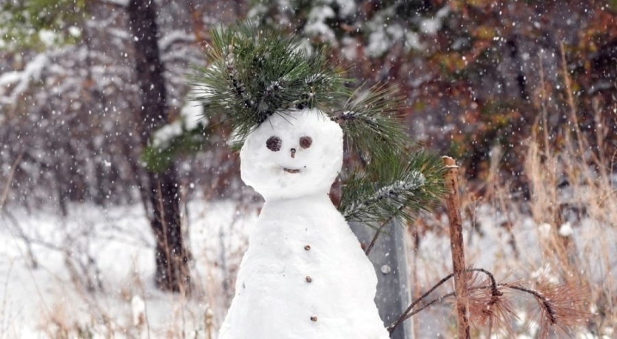 Okulların tatil olduğu iller