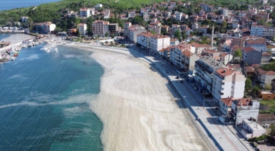 Marmara'da müsilaj kabusu geri mi dönüyor? Uzmanından kritik açıklamalar