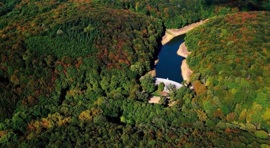 İstanbul'un "akciğeri" Belgrad Ormanı imara açılacak!