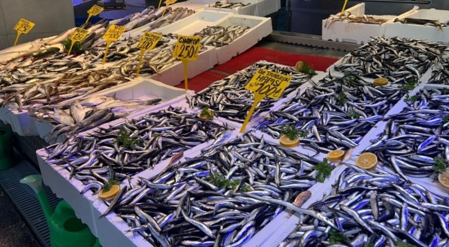 Balıkçılardan öneri! Bu yöntemle balık 1 yıl boyunca bozulmadan saklanıyor