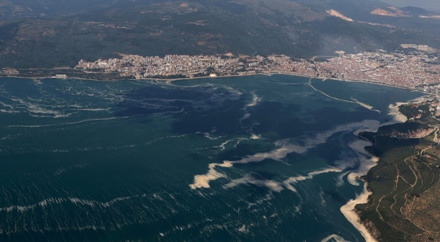Uzman isim uyardı: Örümcek ağı gibi bütün Marmara'yı sardı!