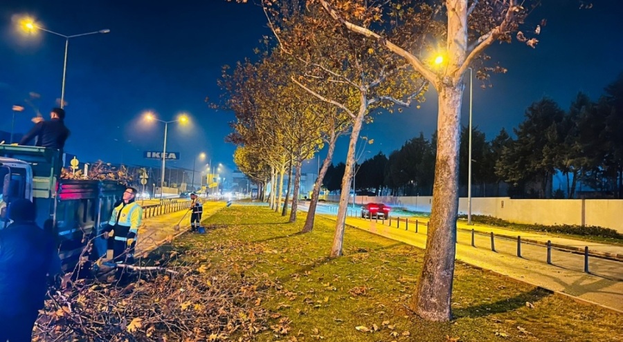 Bursa'da ağaçlara kış bakımı