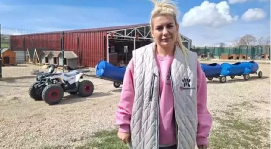 Yaşama Tutunan Patiler Derneği'ndeki mama vurgunu: Sahte faturalar, sigortasız işçiler, araç alım satımları