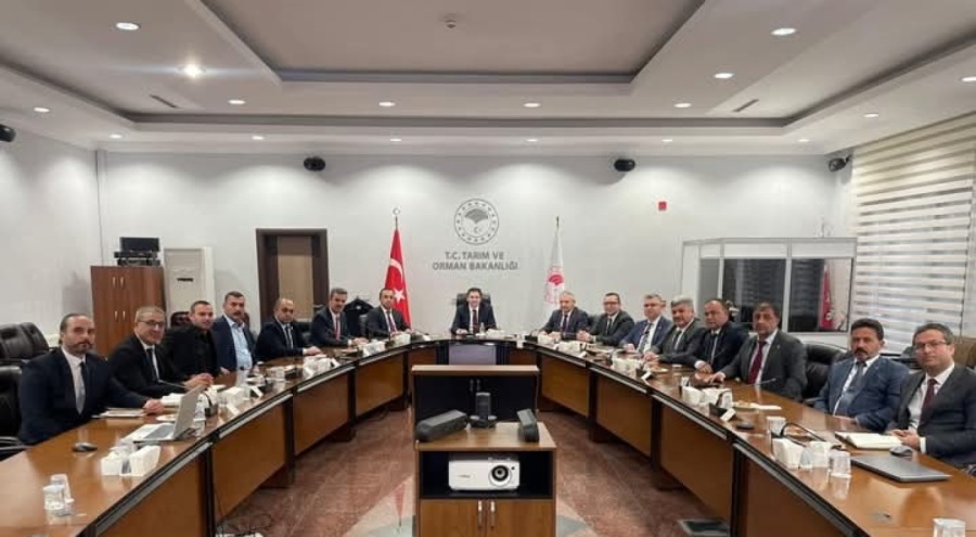Zeytin için ziraat odaları Bakanlıkta bir araya geldi