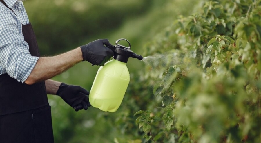 Tarım ürünlerinde ilaç kalıntısı tartışması büyüyor!