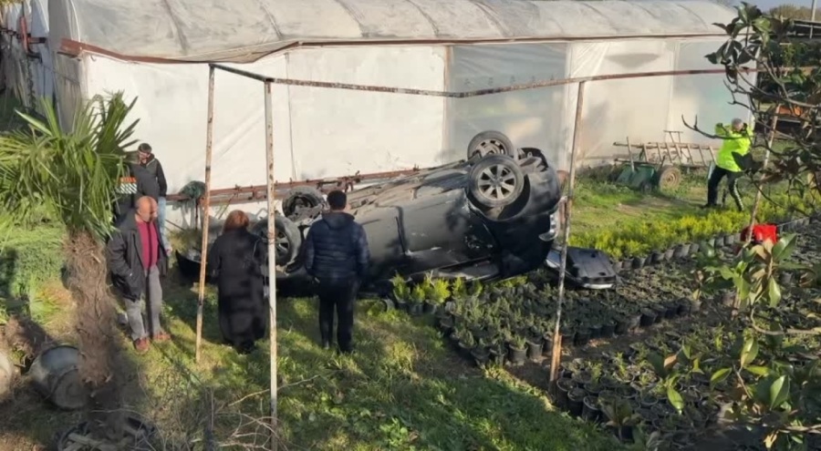 Bursa'da otomobil fidanlığa devrildi! Yaralılar var...