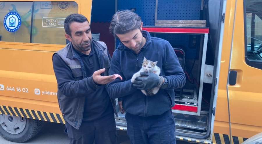 Bursa'da kaputa sıkışan yavru kediyi ekipler kurtardı