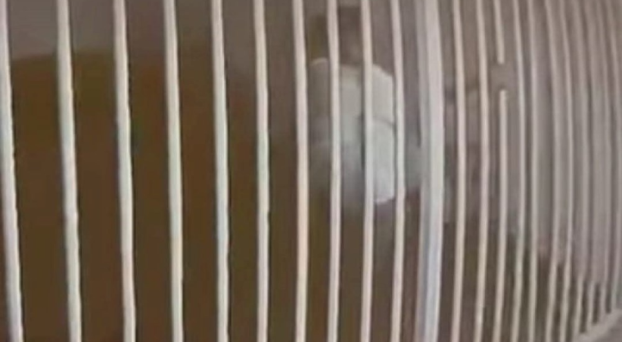 Demir parmaklıkları esnetip kaçtı: Kaçak göçmen organizatörü kısa sürede yakalandı