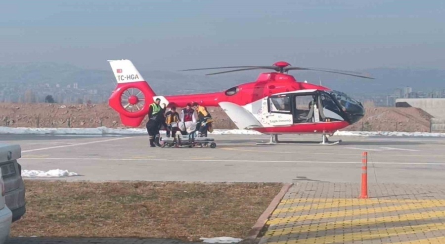 Domuz avında ayı saldırısına uğradı!