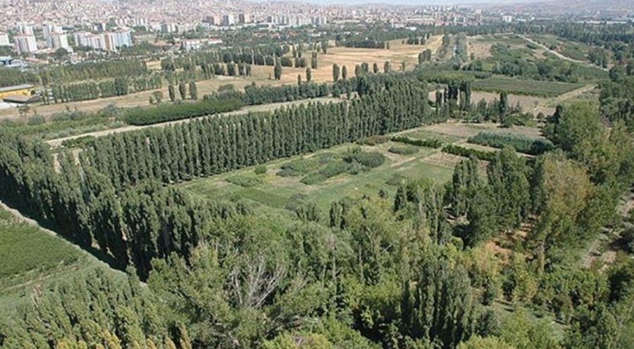 Atatürk Orman Çiftliği'nin park alanı için karar